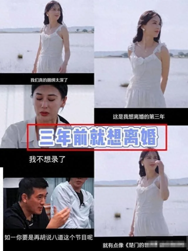 杨子前妻陶虹：离婚不离家，黄圣依是我闺蜜，她坐月子是我照顾的