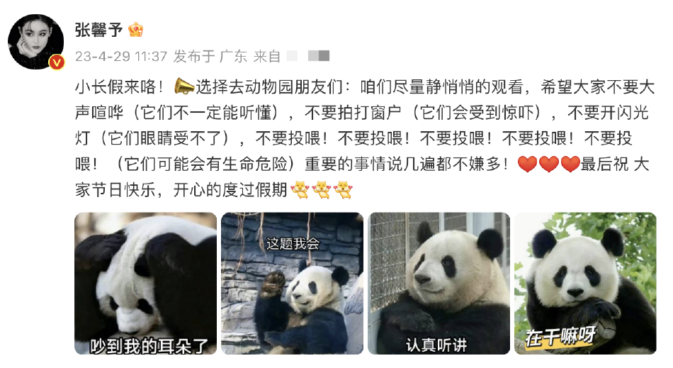 张馨予发博呼吁文明观赏大熊猫 配表情包祝大家假期快乐