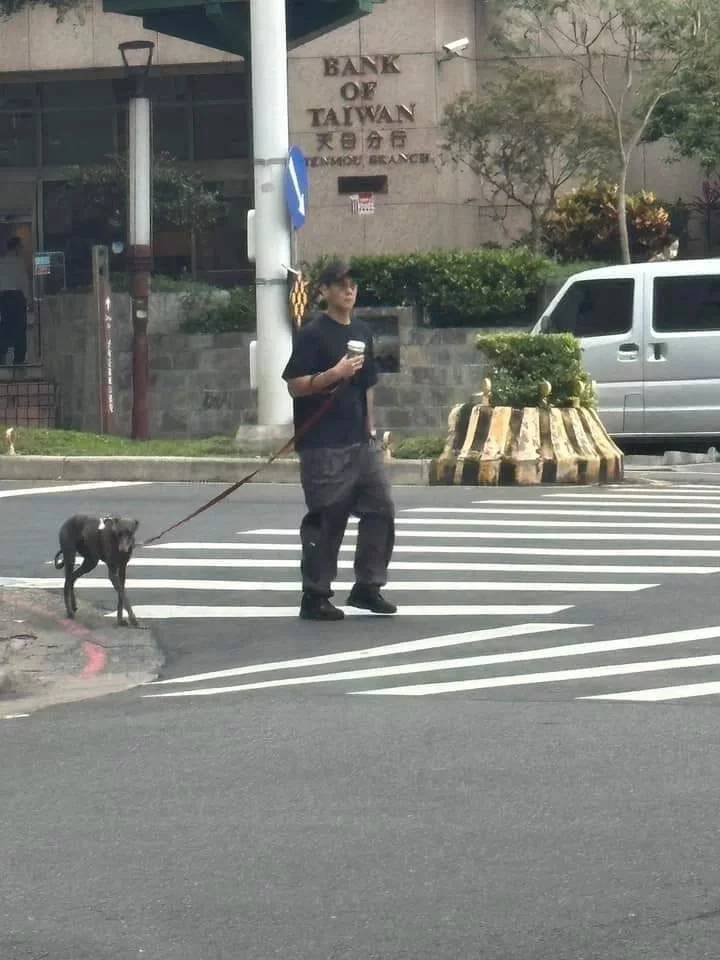 彭于晏穿搭休闲随性街头遛狗 随手收拾爱犬排泄物贴心十足