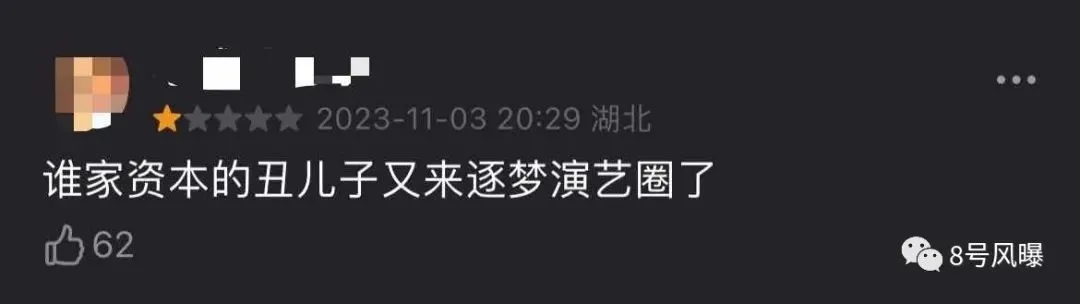 又是谁家的少爷来逐梦演艺圈了？