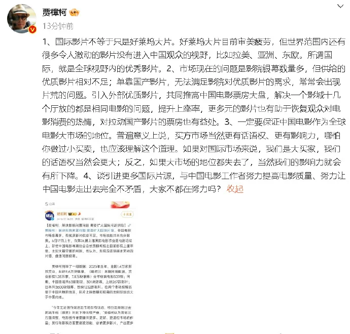 贾樟柯回应早前发言争议：国际影片不等于只是好莱坞大片